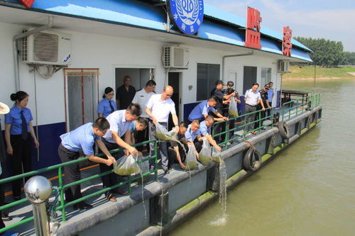 湖北省檢察機關 十年禁捕護航長江生態，固體廢物治理助力大保護